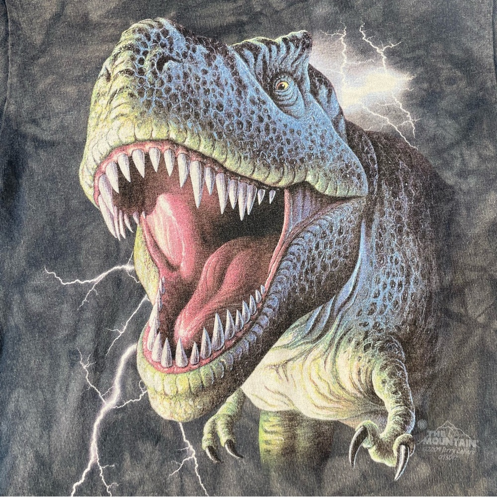 The Mountain Kids 2009 Tyrannosaurus Rex T Shirt Size Small